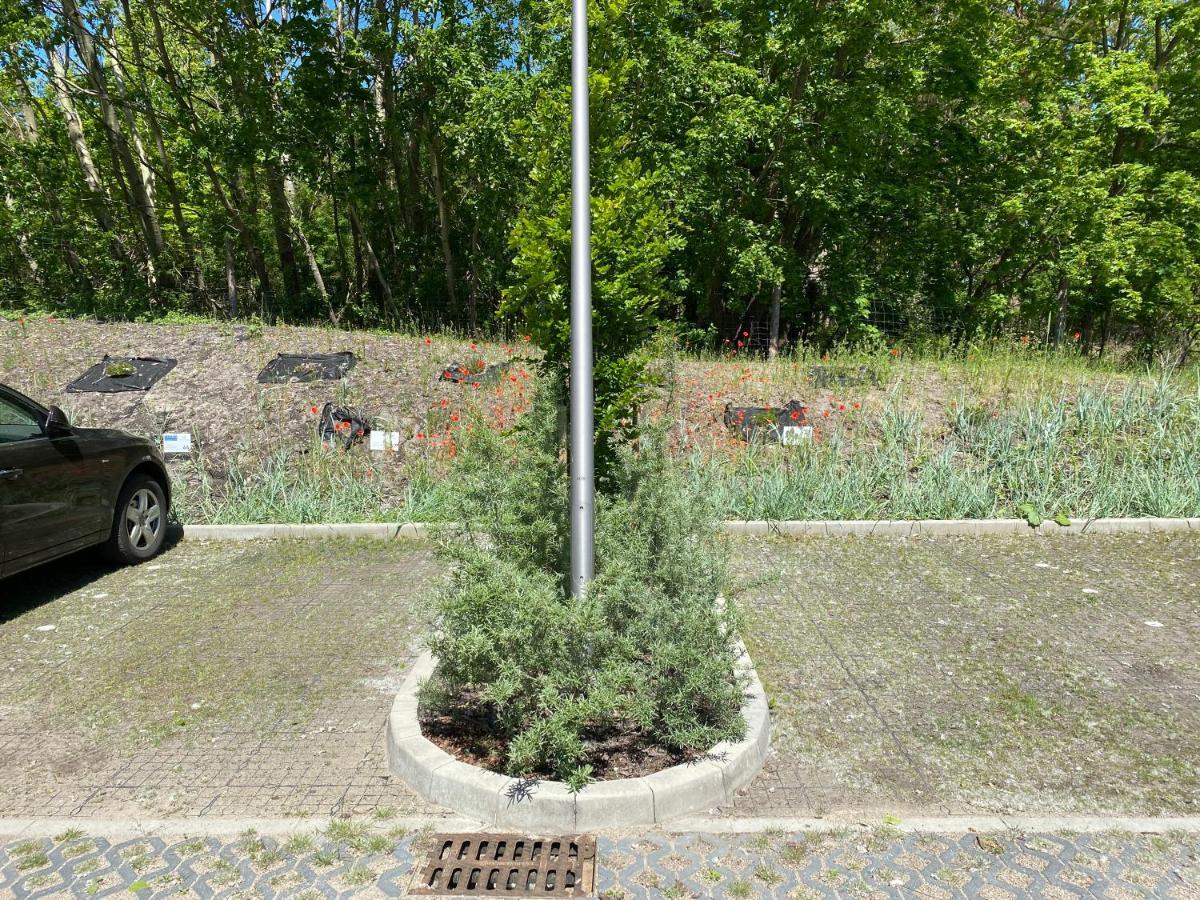 Apartpark Albus1 Świnoujście Buitenkant foto